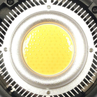 LED Light Chips supplier