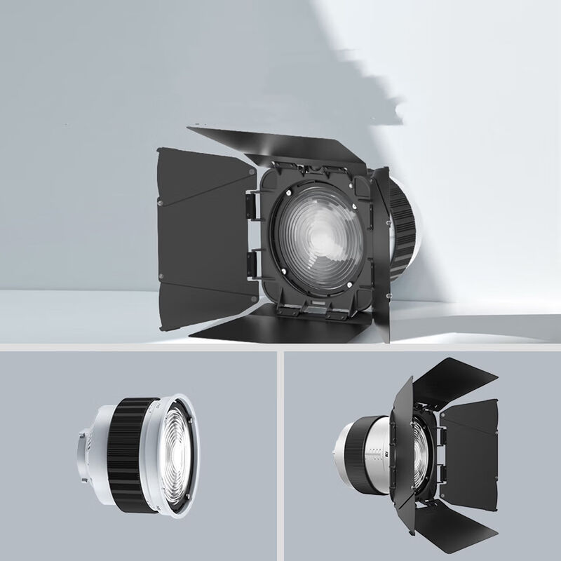 F20 Fresnel Lens Universal Bowen Mounts Studio Light Condenser for Photography Light supplier